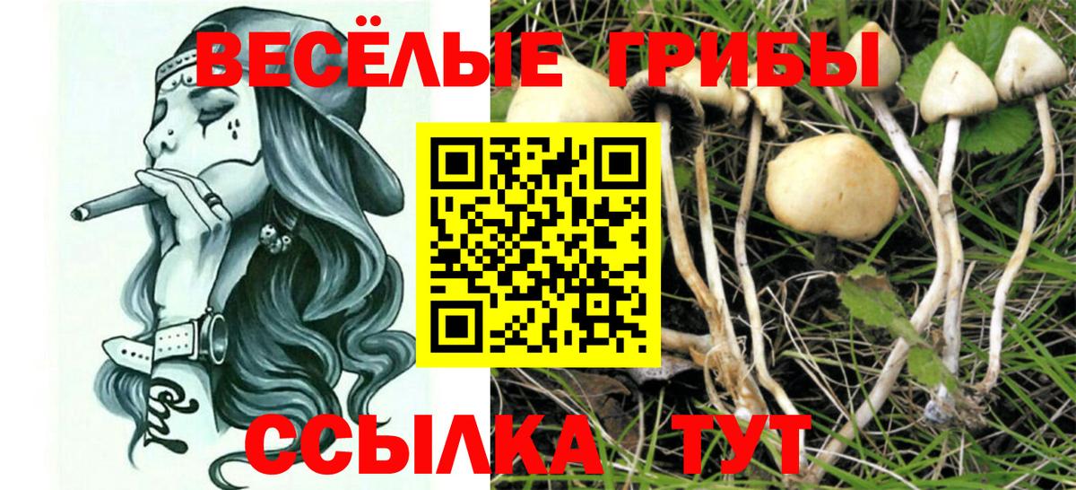 Сызрань  Галлюциногенные грибы Psilocybe  купить закладку  Галлюциногенные грибы GOLDEN TEACHER  Вход с VPN 